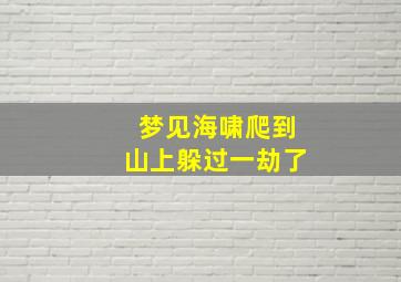 梦见海啸爬到山上躲过一劫了