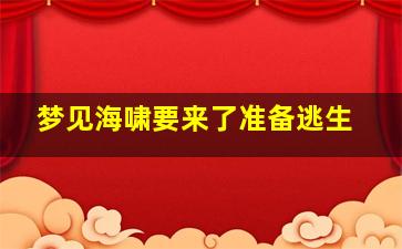 梦见海啸要来了准备逃生