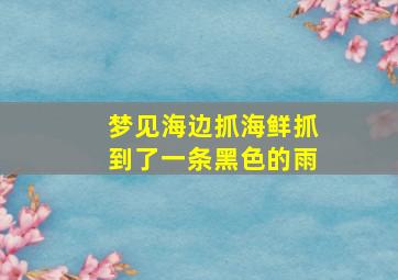 梦见海边抓海鲜抓到了一条黑色的雨