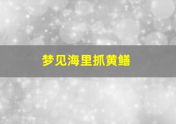 梦见海里抓黄鳝