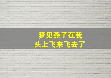 梦见燕子在我头上飞来飞去了