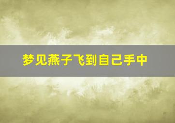 梦见燕子飞到自己手中