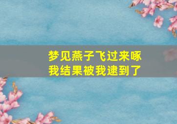 梦见燕子飞过来啄我结果被我逮到了