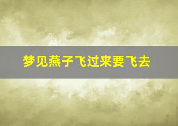 梦见燕子飞过来要飞去