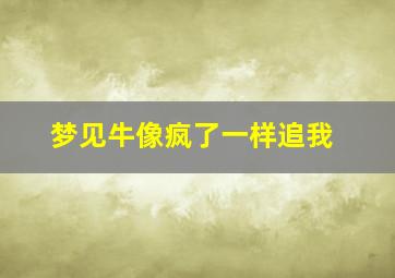 梦见牛像疯了一样追我