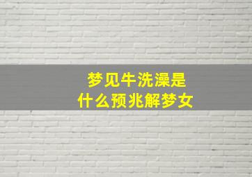 梦见牛洗澡是什么预兆解梦女