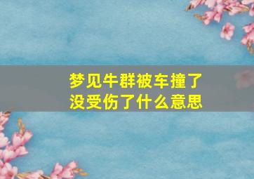 梦见牛群被车撞了没受伤了什么意思