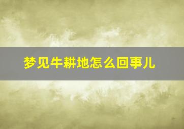 梦见牛耕地怎么回事儿