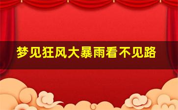 梦见狂风大暴雨看不见路