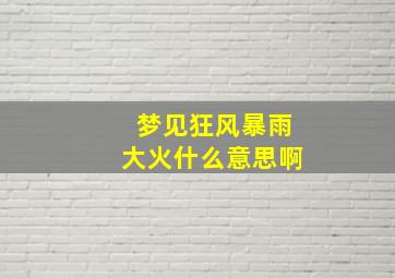 梦见狂风暴雨大火什么意思啊