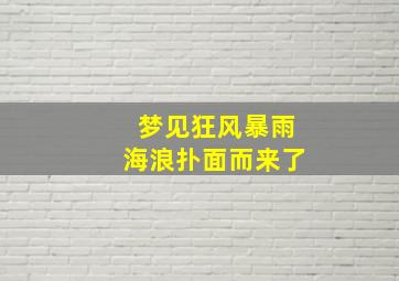 梦见狂风暴雨海浪扑面而来了