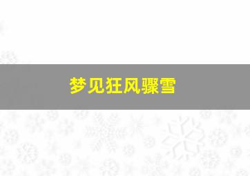 梦见狂风骤雪