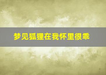 梦见狐狸在我怀里很乖