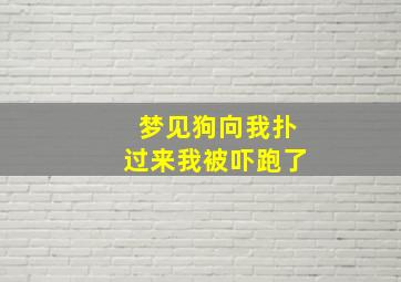 梦见狗向我扑过来我被吓跑了