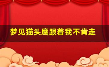 梦见猫头鹰跟着我不肯走