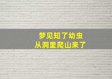 梦见知了幼虫从洞里爬山来了