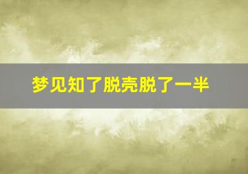 梦见知了脱壳脱了一半