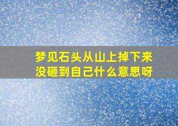 梦见石头从山上掉下来没砸到自己什么意思呀