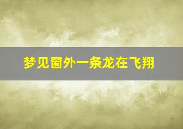 梦见窗外一条龙在飞翔