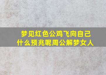 梦见红色公鸡飞向自己什么预兆呢周公解梦女人