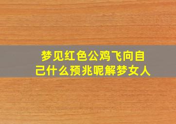 梦见红色公鸡飞向自己什么预兆呢解梦女人