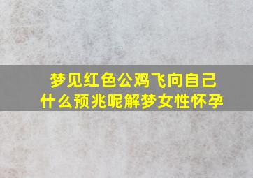 梦见红色公鸡飞向自己什么预兆呢解梦女性怀孕