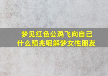 梦见红色公鸡飞向自己什么预兆呢解梦女性朋友