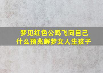 梦见红色公鸡飞向自己什么预兆解梦女人生孩子