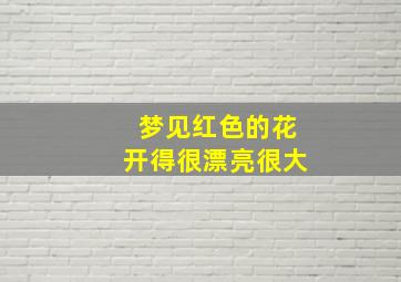 梦见红色的花开得很漂亮很大