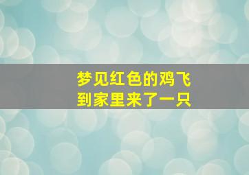 梦见红色的鸡飞到家里来了一只