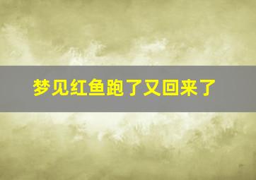 梦见红鱼跑了又回来了