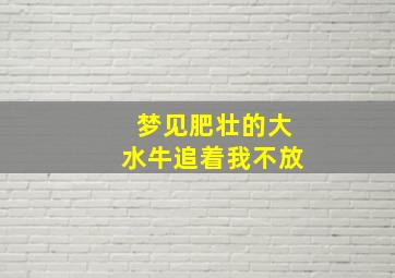 梦见肥壮的大水牛追着我不放