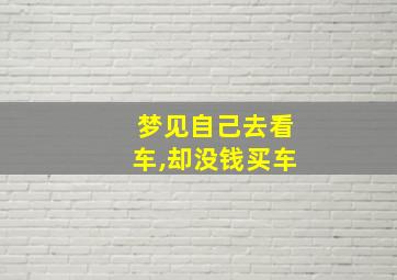 梦见自己去看车,却没钱买车