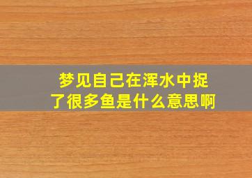 梦见自己在浑水中捉了很多鱼是什么意思啊