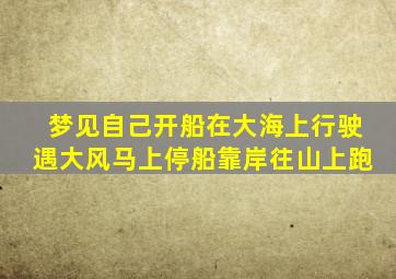 梦见自己开船在大海上行驶遇大风马上停船靠岸往山上跑