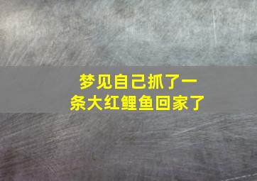 梦见自己抓了一条大红鲤鱼回家了