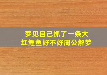 梦见自己抓了一条大红鲤鱼好不好周公解梦