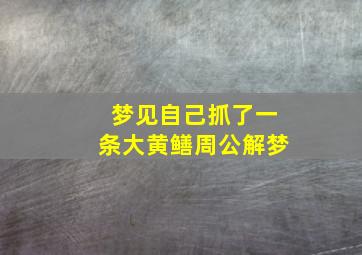 梦见自己抓了一条大黄鳝周公解梦