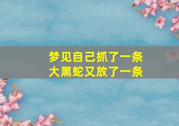 梦见自己抓了一条大黑蛇又放了一条