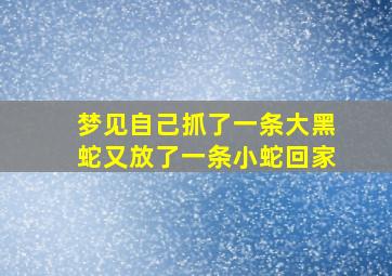 梦见自己抓了一条大黑蛇又放了一条小蛇回家