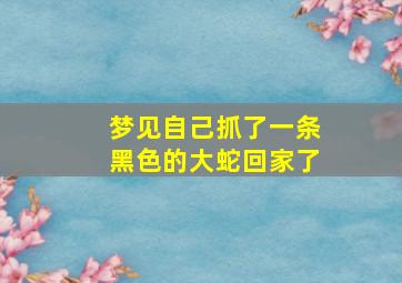 梦见自己抓了一条黑色的大蛇回家了