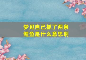 梦见自己抓了两条鲤鱼是什么意思啊