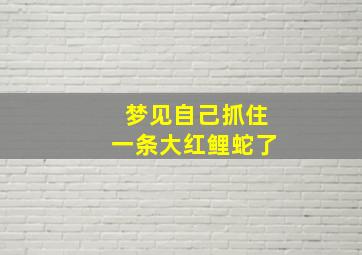 梦见自己抓住一条大红鲤蛇了