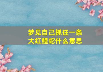 梦见自己抓住一条大红鲤蛇什么意思