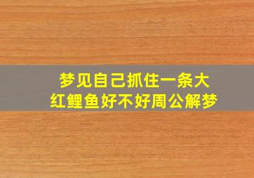 梦见自己抓住一条大红鲤鱼好不好周公解梦