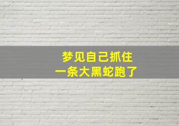 梦见自己抓住一条大黑蛇跑了