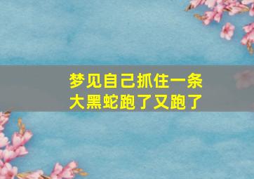 梦见自己抓住一条大黑蛇跑了又跑了