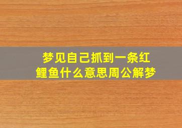 梦见自己抓到一条红鲤鱼什么意思周公解梦