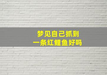 梦见自己抓到一条红鲤鱼好吗