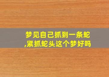 梦见自己抓到一条蛇,紧抓蛇头这个梦好吗